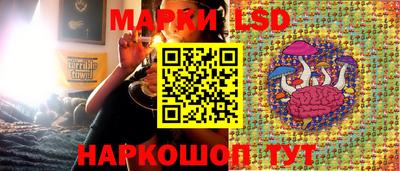 шишки Свободный
