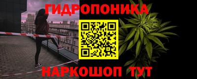 шишки Свободный