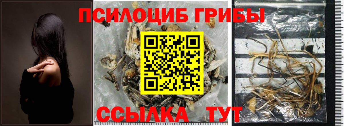 Галлюциногенные грибы мицелий Осинники