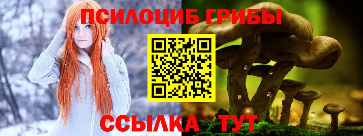 Осинники  Галлюциногенные грибы мицелий  Вход с VPN 